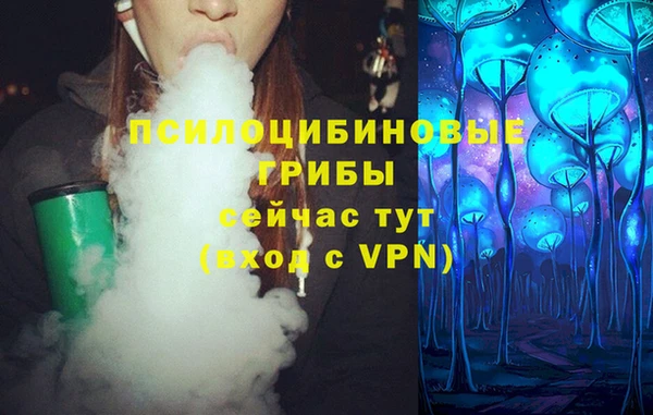 герыч Сосновый Бор