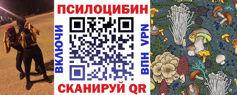Купить где  Среднеколымск  Псилоцибиновые грибы Psilocybine cubensis 