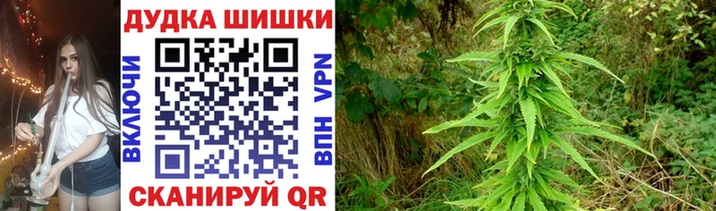 Купить закладки  Среднеколымск  Каннабис ГИДРОПОН 